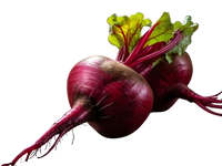 Beetroot